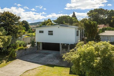 Photo of property in 21 Evans Street, Waihi, 3610