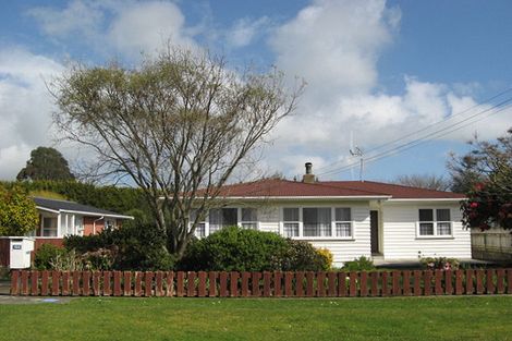 Photo of property in 168 Roslyn Road, Levin, 5510