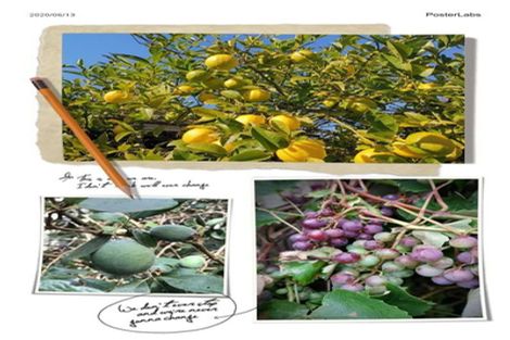 Photo of property in 14 Maryann Place, Greenhithe, Auckland, 0632