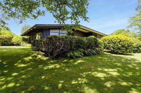 Photo of property in 46 Gillies Avenue, Taupo, 3330