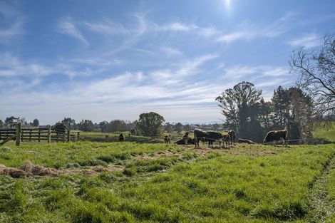 Photo of property in 174 Bridge Street, Putaruru, 3411