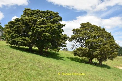 Photo of property in 69 Matakohe Wharf Road, Matakohe, 0593