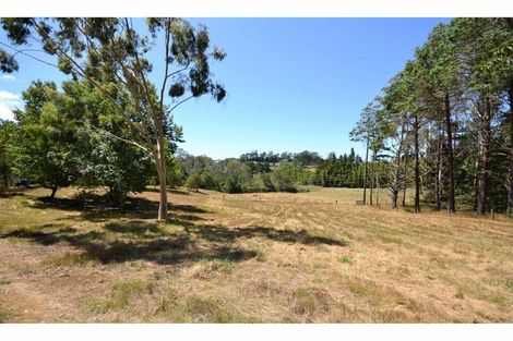 Photo of property in 36 Pungaere Road, Waipapa, Kerikeri, 0295