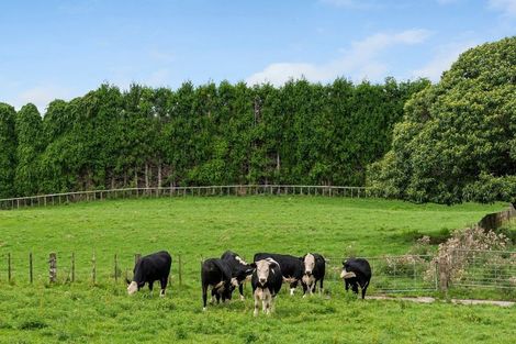 Photo of property in 579 Belk Road, Omanawa, Tauranga, 3171