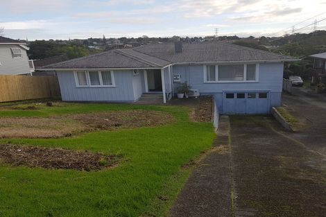 Photo of property in 53 Rogan Street, Mount Roskill, Auckland, 1041