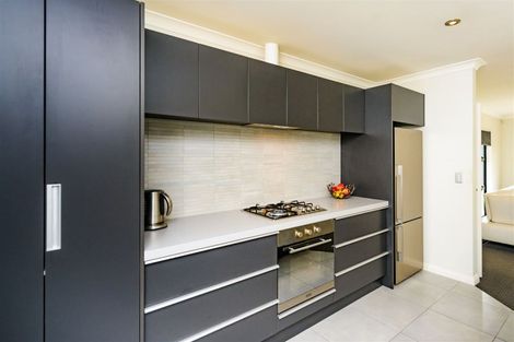 Photo of property in 12a Conway Place, Terrace End, Palmerston North, 4410