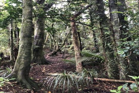 Photo of property in 299 Pekanui Road, Puketotara, Te Awamutu, 3876