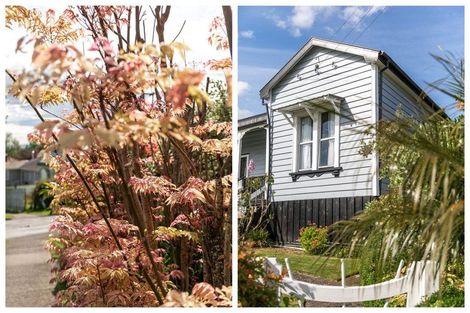 Photo of property in 16 Hill Street, Paeroa, 3600