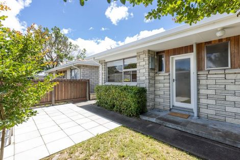 Photo of property in 2/31 Middle Road, Havelock North, 4130