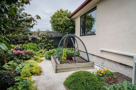 Photo of property in 8 Carlisle Place, Marchwiel, Timaru, 7910