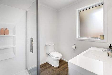 Photo of property in 113 John Burke Drive, Aotea, Porirua, 5024