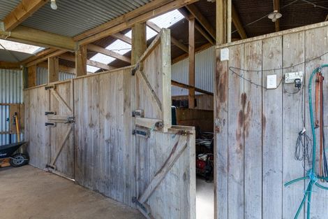 Photo of property in 51 Hinewa Road, Otumoetai, Tauranga, 3110