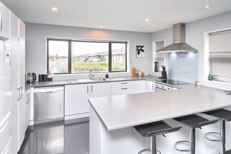 Photo of property in 65 Newman Road, Rolleston, 7614