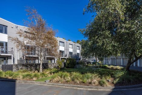 Photo of property in 8 Dovedale Place, Parnell, Auckland, 1010