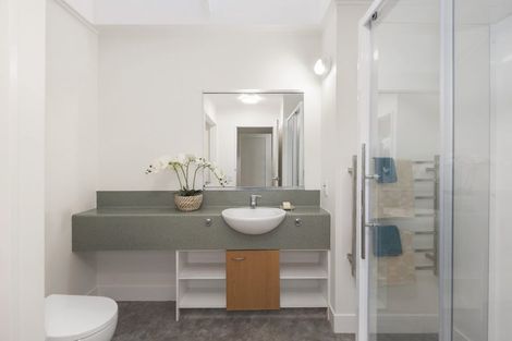 Photo of property in Dixonlane Apartments, 11/7 Feltex Lane, Te Aro, Wellington, 6011