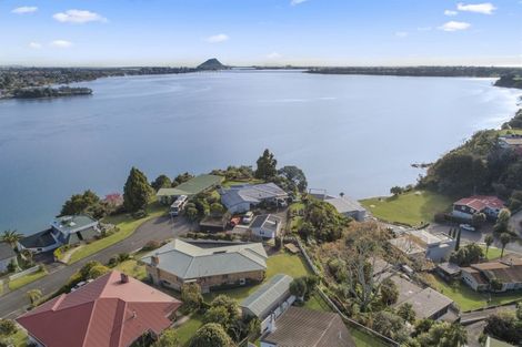 Photo of property in 39 Vine Avenue, Maungatapu, Tauranga, 3112