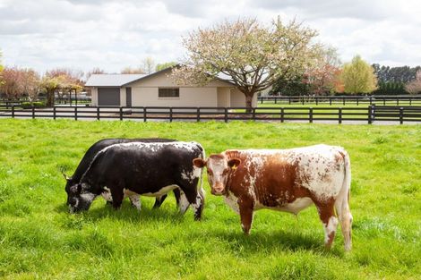 Photo of property in 378 Hinuera Road, Matamata, 3472