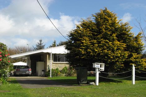 Photo of property in 166 Roslyn Road, Levin, 5510