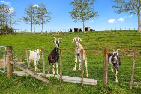 Photo of property in 10 Josephine Place, Te Kauwhata, 3782