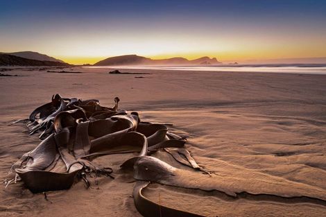 Photo of property in 282 Newhaven Road, New Haven, Owaka, 9585