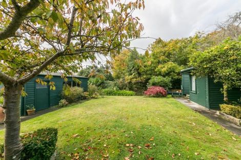 Photo of property in 41 Mchardy Street, Havelock North, 4130