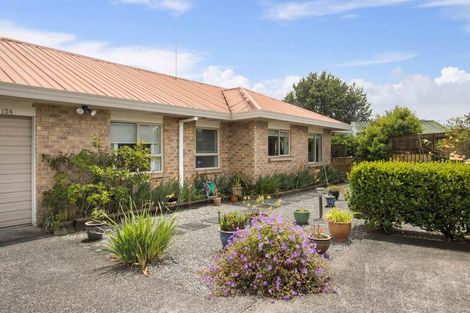 Photo of property in 124 Wills Road, Katikati, 3129