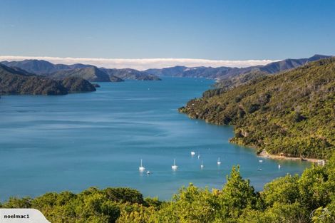 Photo of property in 167 Anakiwa Road, Anakiwa, Picton, 7281