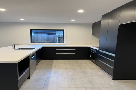 Photo of property in 95a Linton Street, West End, Palmerston North, 4410