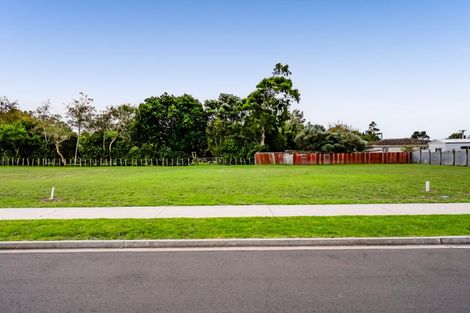 Photo of property in 6 Kopiri Place, Spotswood, 4310