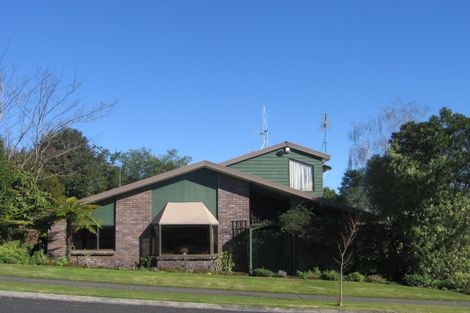 Photo of property in 38 Mcmeekan Avenue, Chartwell, Hamilton, 3210