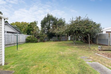 Photo of property in 49 Ihle Street, Terrace End, Palmerston North, 4410