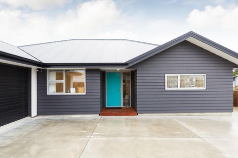 Photo of property in 51 Dahlia Street, Palmerston North, 4410
