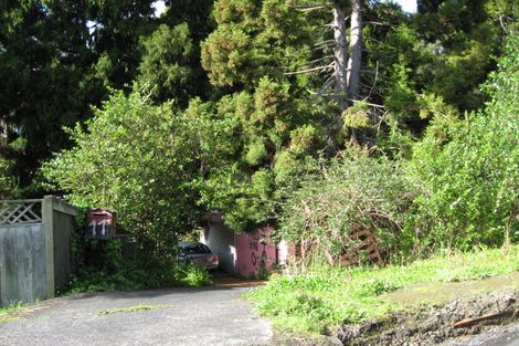 Photo of property in 11 Rauhuia Crescent, Parau, Auckland, 0604