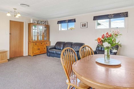 Photo of property in 134 Stanford Street North, Ashhurst, 4810