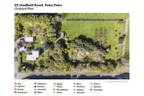 Photo of property in 32 Hadfield Road, Peka Peka, Waikanae, 5391