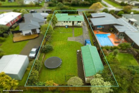 Photo of property in 85 Wyndham Street, Ashhurst, 4810