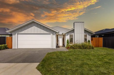 Photo of property in 62 Lochhead Street, Mahora, Hastings, 4120