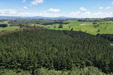 Photo of property in 1401 Whangamata Road, Marotiri, Taupo, 3377