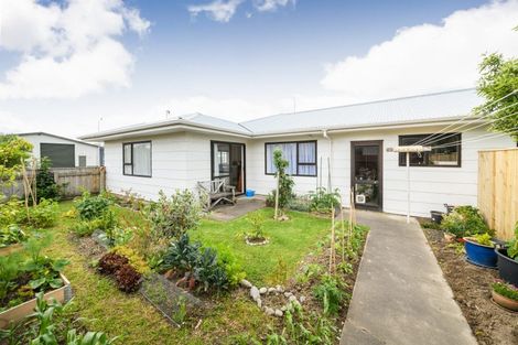 Photo of property in 46 Weld Street, Feilding, 4702