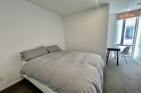 Photo of property in Trinity Apartments, 303/19 College Street, Te Aro, Wellington, 6011