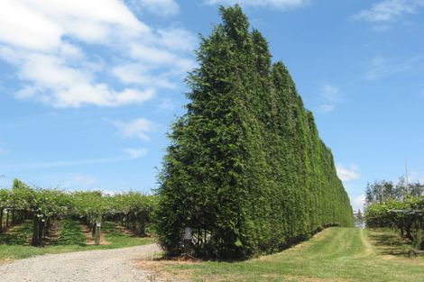 Photo of property in 138 Tuapiro Road, Tahawai, Katikati, 3170