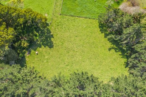 Photo of property in 82 Jacksons Road, Koputaroa, Shannon, 5575
