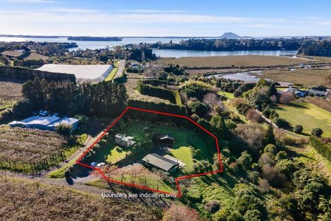 Photo of property in 178 Plummers Point Road, Whakamarama, Tauranga, 3172