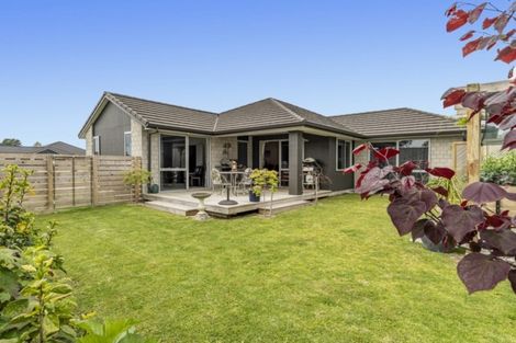 Photo of property in 4 Madeleine Place, Omokoroa, 3114