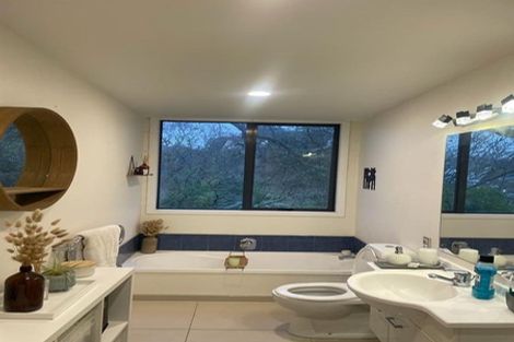 Photo of property in 47 Hendry Avenue, Hillsborough, Auckland, 1042