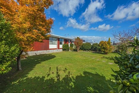 Photo of property in 91 Long Melford Road, Awapuni, Palmerston North, 4412