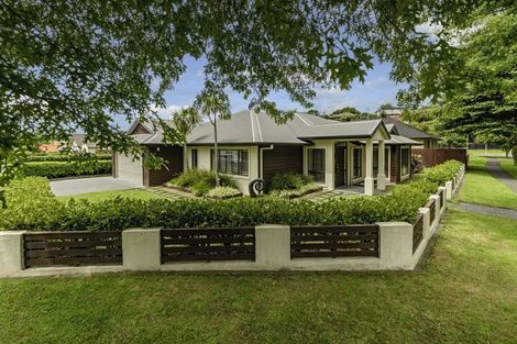 Photo of property in 86 Westmorland Rise, Bethlehem, Tauranga, 3110