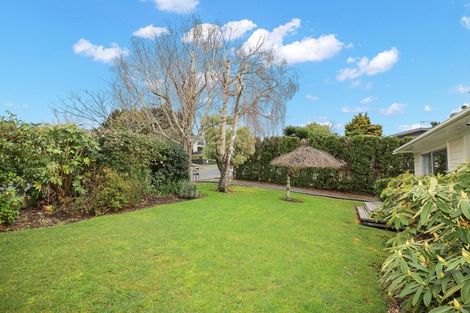 Photo of property in 12 Maple Avenue, Dinsdale, Hamilton, 3204