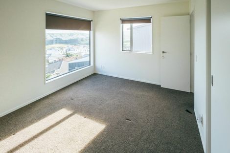 Photo of property in 57 Woodridge Drive, Woodridge, Wellington, 6037