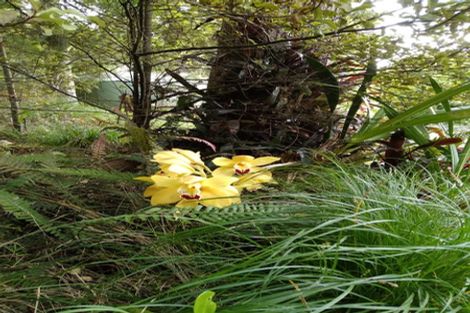 Photo of property in 64 Paparoa Station Road, Paparoa, 0571